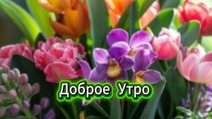 Доброе утро открытки для настроения счастья любви ☀️🌸