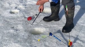 Ловля форели со льда