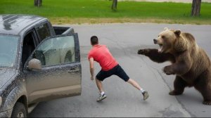 Дикие животные шокируют своим поведением, случаи попавшие на камеру.