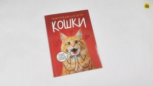 Кошки. Большие секреты маленьких хищников