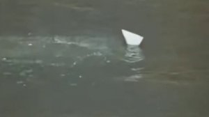 Бюльбюль Оглы. #surprais#небойся#ястобой