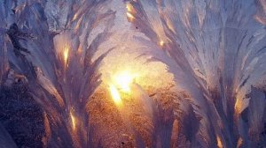 Сквозь  морозные  узоры