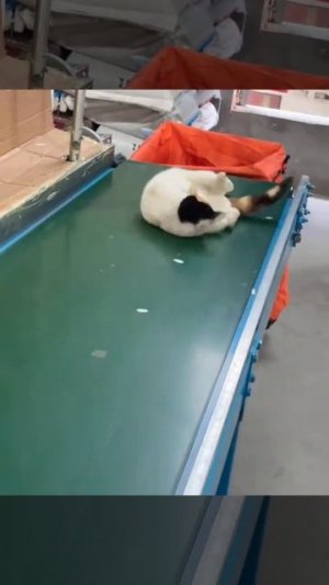 Не дают полежать