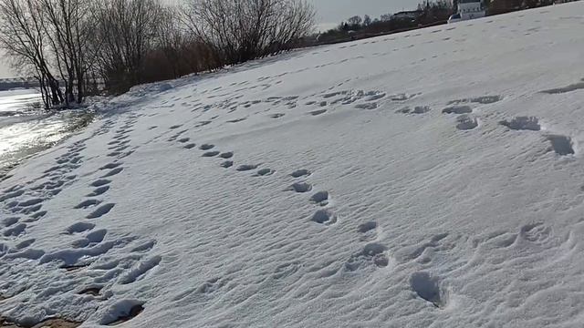 Март Река Ока