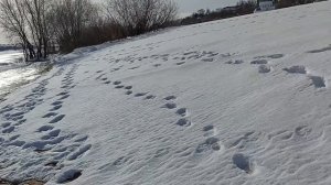 Март Река Ока