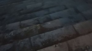 Рубрика "Прогулка экскурсия