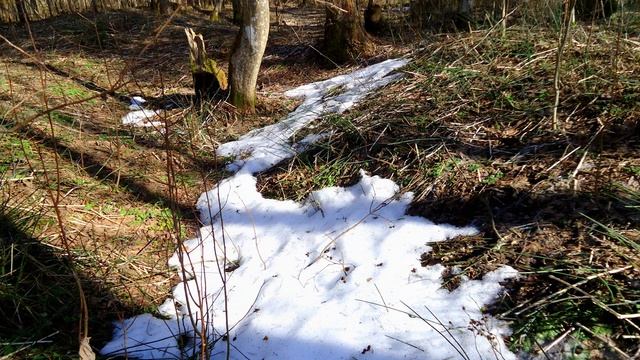 ВЕСЕННИЕ  ЗАРИСОВКИ