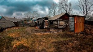 Вернулся в деревню