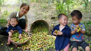 Мама поневоле. Дуонг. Сбор урожая медовой сливы Там Хоа. Торговля. Навестили мальчика. Серия 91