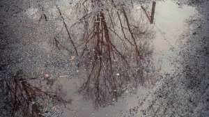 4 неделя Поста и ( Татьянин день.)