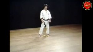 09 - Ката Энпи (Enpi) Шотокан Каратэ