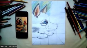 Щенок и бабочка (цветные карандаши)