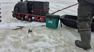 Прокатились, порыбачили, отдохнули на природе