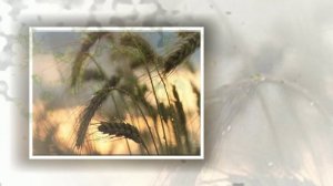 В шёлке трав переночую