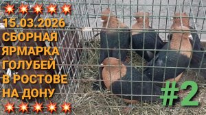 💥💥💥 15.03.26 Сборная ярмарка голубей в Ростове на Дону. Часть 2. Птичий рынок. Pigeons Fair.