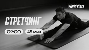 СТРЕТЧИНГ с Эльвирой Сахибгареевой | 17 марта 2026 | Онлайн-тренировки World Class