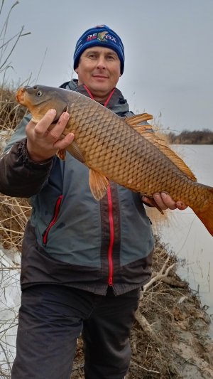 весенний трофей на джиг 🎣🐋📽️💥 на малой реке 
#трофей #сазан #судак #рыьалка #весна #речка #топ