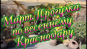 Март. Прогулка по весеннему Краснодару