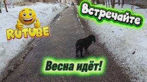 Весна идёт - встречайте 😊