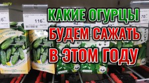 Купили семена огурцов в Лемана Про. Что посадим рядом с огурцами. Как повысить урожайность огурцов