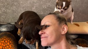 Теперь все видео придется выпускать только на Рутуб, Дзен не дает нормально работать.