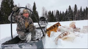 МЕДВЕЖЬЯ ЕДА / ПОДГОТОВКА К ОХОТЕ / СНЕГОХОД СМ-003 + САНИ МАКСИХОД MAКС ЭКО ПРО 250.