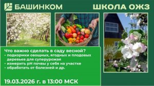 Все в сад! Первые работы в саду. Мартовские заботы садоводов