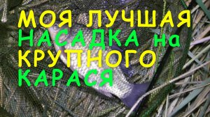 Моя лучшая насадка на крупного карася