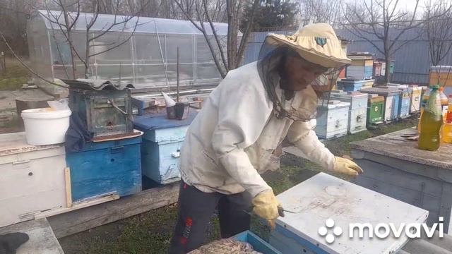 ФАНТА-СТИМУЛЯЦИЯ ПЧЁЛ! 🐝💥14.03.2026 #пасека #пчелы #пчеловодство #хобби #мёд