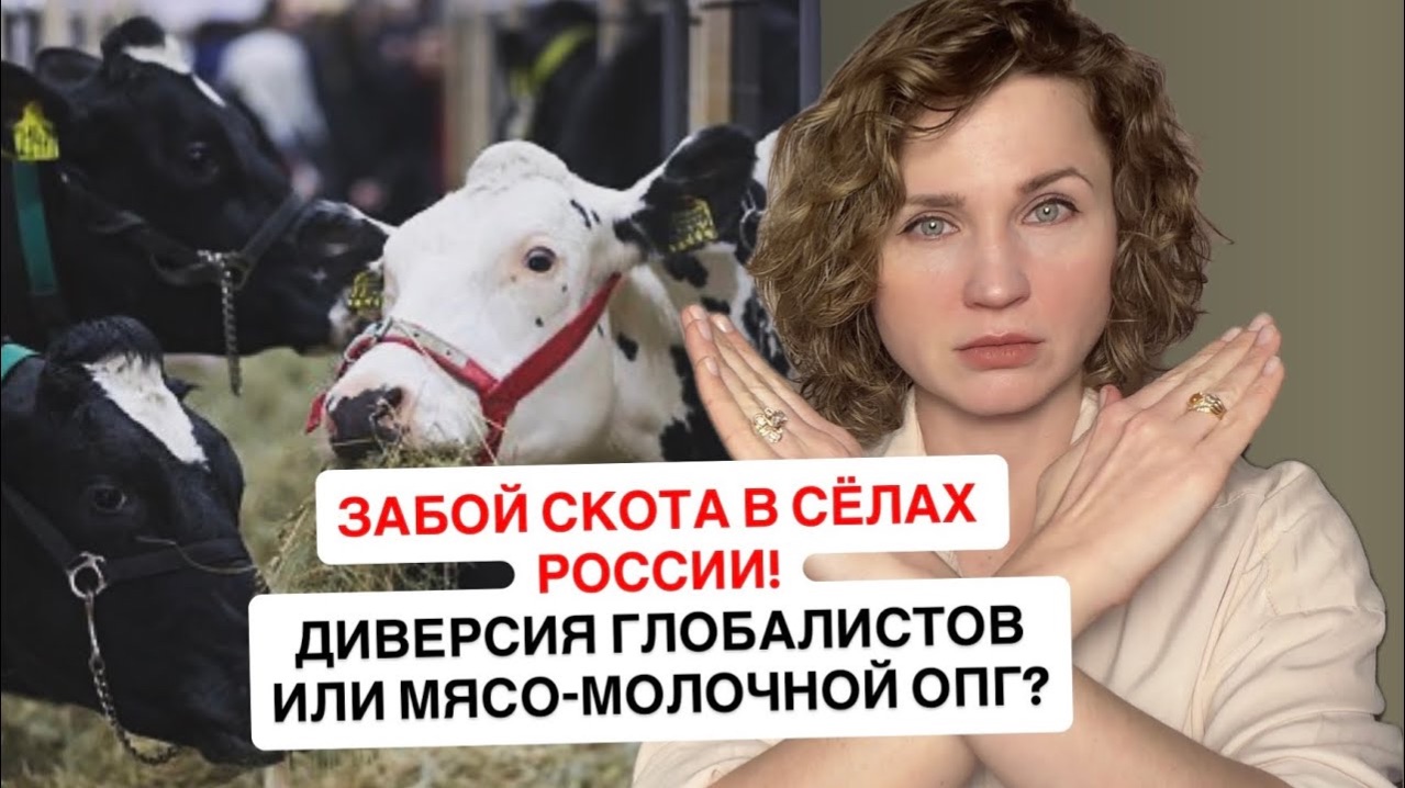 Забой скота в сёлах России: планы Шваба в действии? Инвестфонды США остановили выплаты