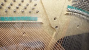 Современная библиотека по-новому: инсталляции Медиа Материя  в библиотеке Нота