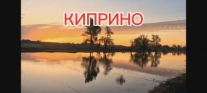 РЫБАЛКА КИПРИНО. Алтайский край.
