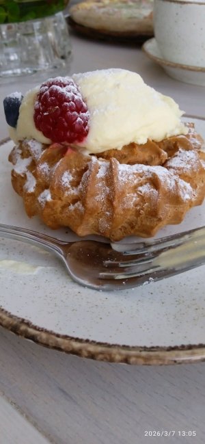 🌈🌼стрим со сквиши собачками🌼🌈