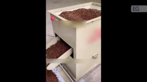 Камнеотборник для кофе TQSC-32A