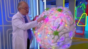 Для ясности и памяти мозга: в "Жить здорово!" рассказали о пользе рыбного супа