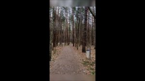 Москва, Переделкино 2024