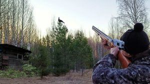 Весенние мотивы или случай в тайге.