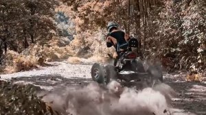 Эл.квадроцикл Спринтер ЕМ-04 на бездорожье