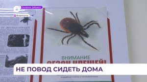 Приморские врачи рекомендуют вакцинироваться от клещевого энцефалита всему населению