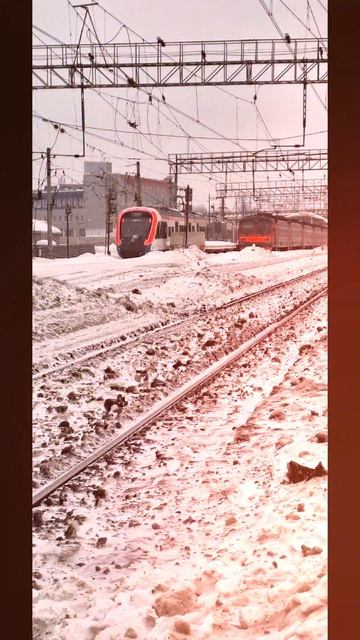 Буревестниковая новинка часть 2