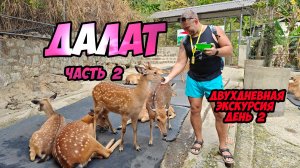 Далат - двухдневная экскурсия по горному Вьетнаму (день 2й)