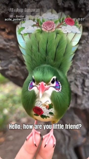 1000033217.mp4птич