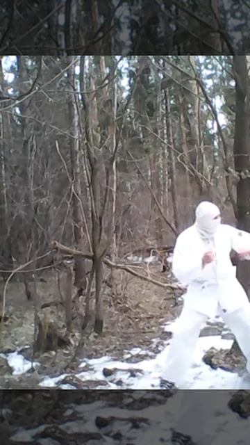 Ангельский ниндзя - Снежный тигр ищет самок (09.04.2019) Angeles ninja - Snow tiger looking females