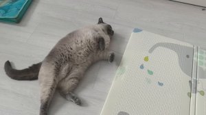 Выписали из больницы. Встретилась с внуками.