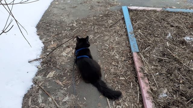 На улице хорошо, тепло. смотреть онлайн