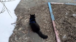 На улице хорошо, тепло.