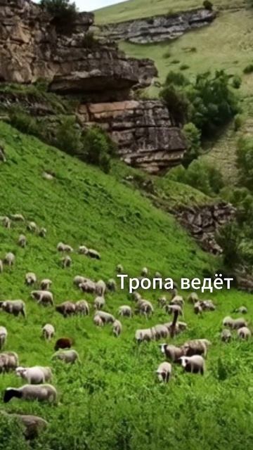 Тропа ведет. Экоферма Кунцалу.