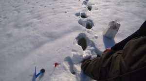 ОДНА ИЗ САМЫХ ТЯЖЁЛЫХ РЫБАЛОК В МОЕЙ ЖИЗНИ!