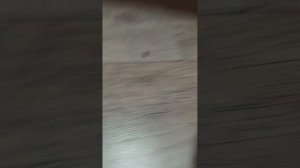 ждите нового канала 🌼🌾