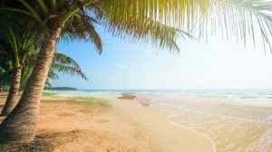 Медитация, Музыка для снятия стресса, Релакс музыка